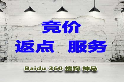 某公司SEM代理策略：实现流量转化